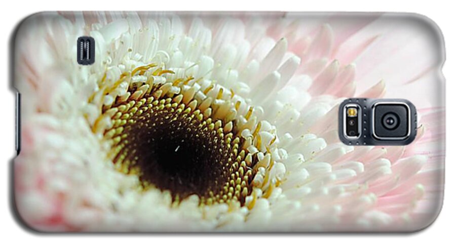 Pink and White Daisy - Phone Case