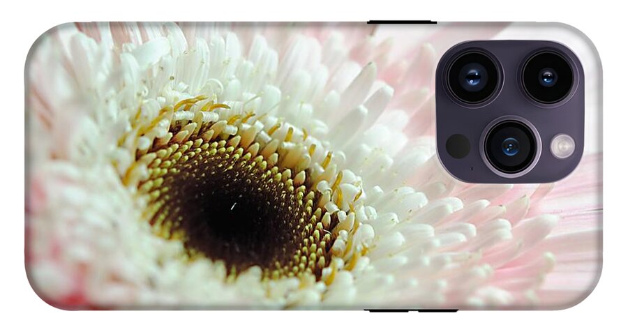 Pink and White Daisy - Phone Case