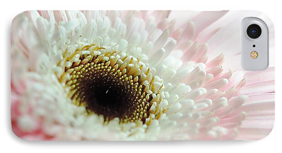 Pink and White Daisy - Phone Case