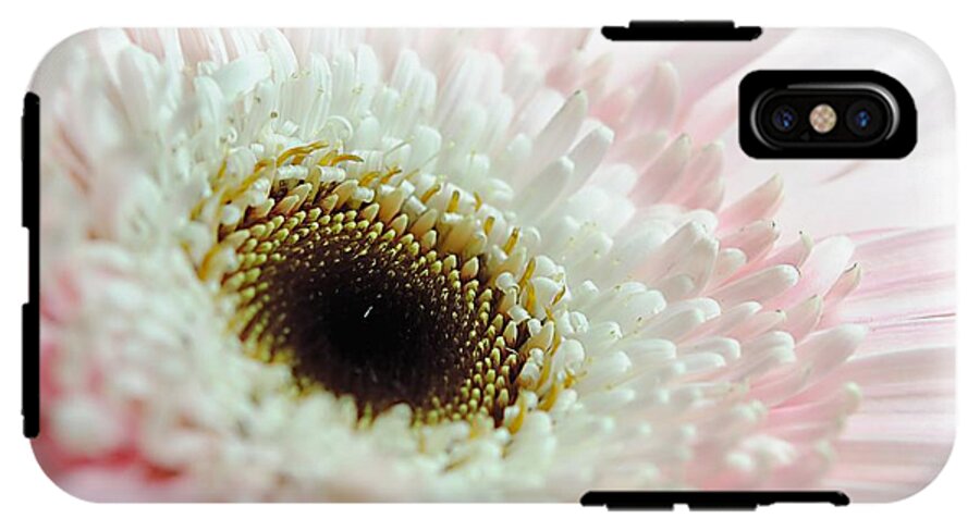 Pink and White Daisy - Phone Case