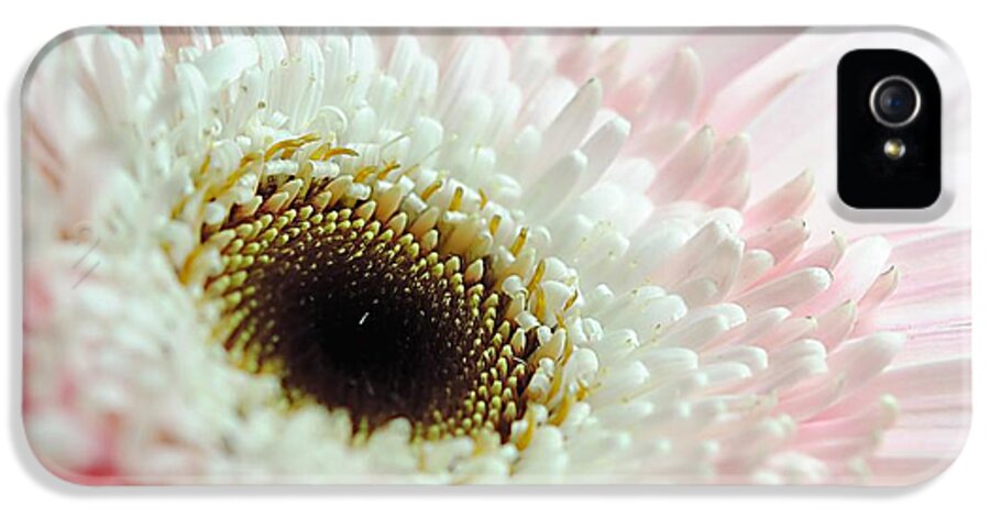 Pink and White Daisy - Phone Case