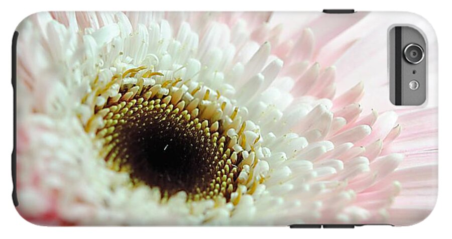 Pink and White Daisy - Phone Case
