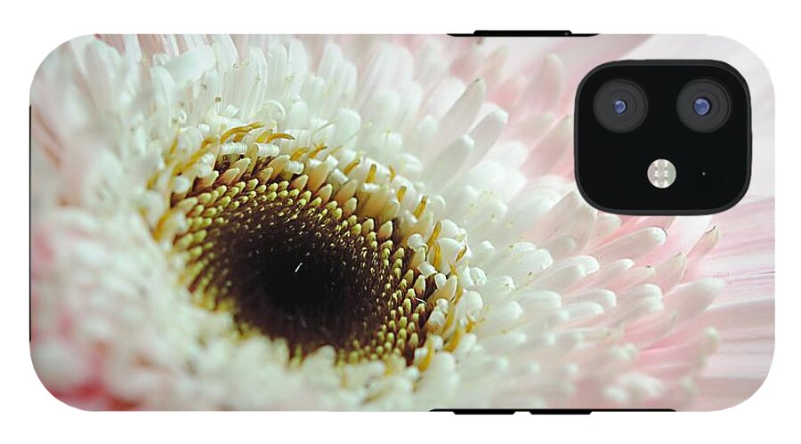 Pink and White Daisy - Phone Case
