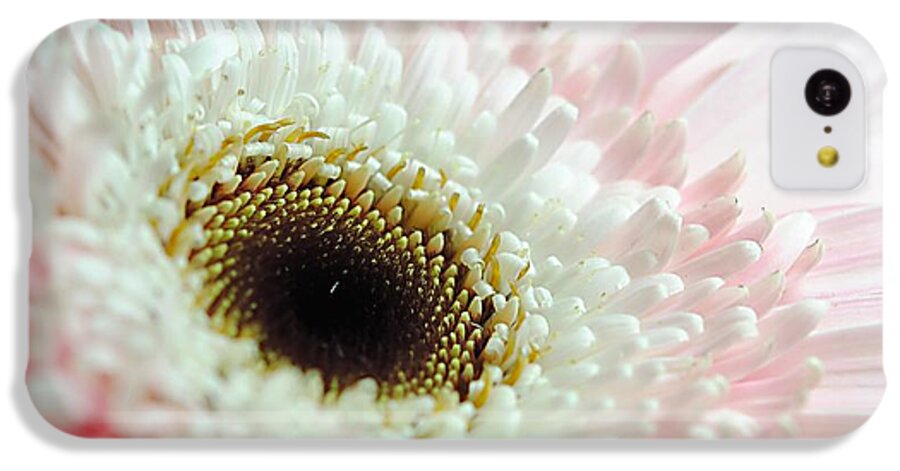 Pink and White Daisy - Phone Case