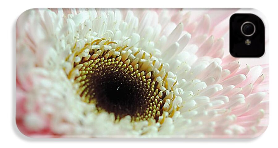 Pink and White Daisy - Phone Case