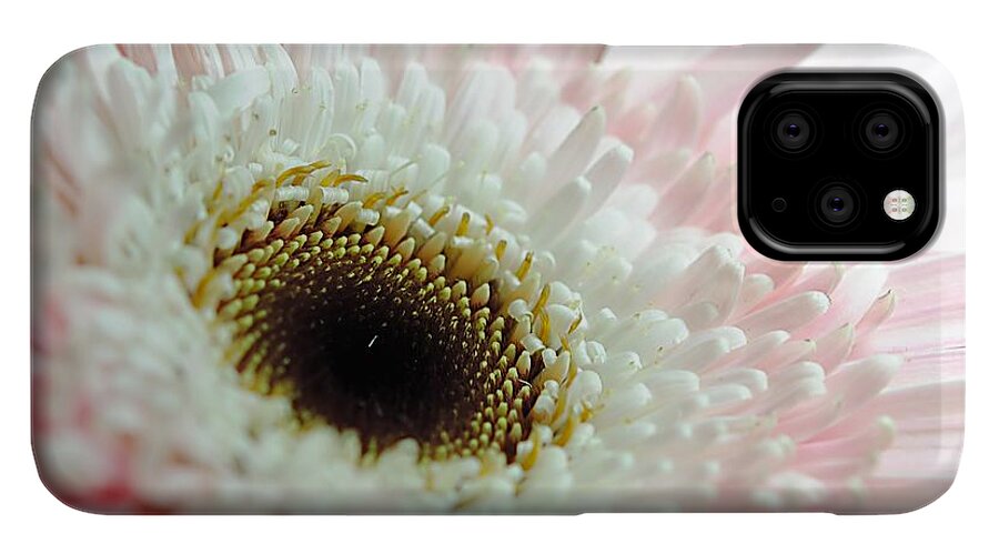 Pink and White Daisy - Phone Case