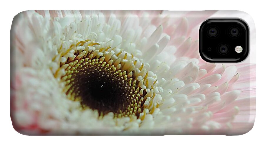Pink and White Daisy - Phone Case