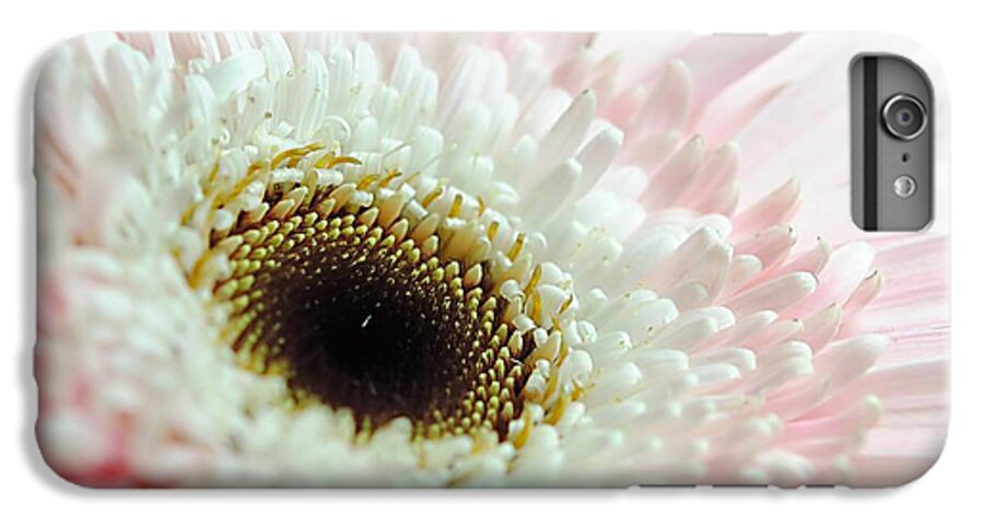 Pink and White Daisy - Phone Case