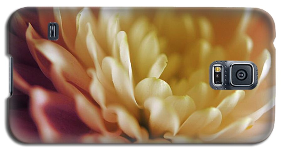 Pink and White Flower - Phone Case