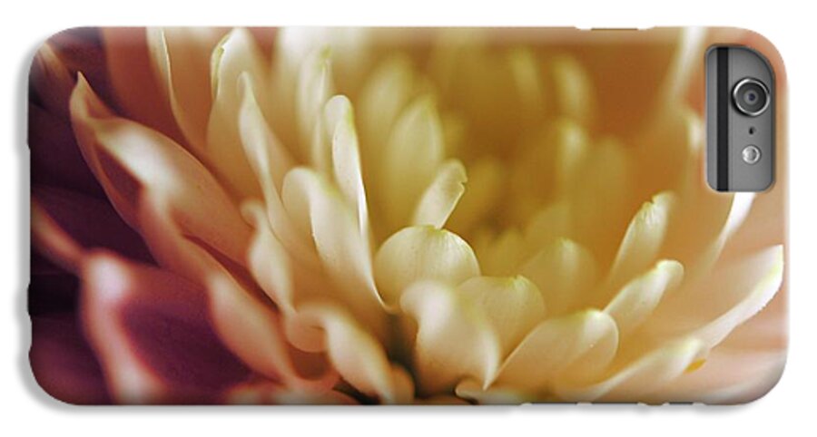 Pink and White Flower - Phone Case