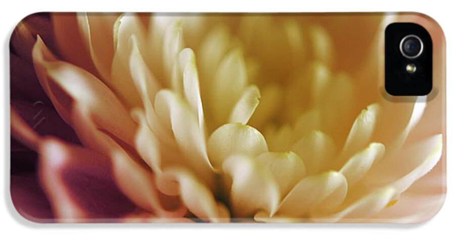 Pink and White Flower - Phone Case