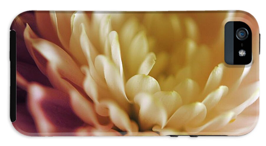 Pink and White Flower - Phone Case