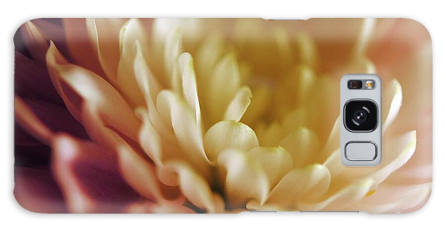 Pink and White Flower - Phone Case