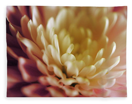 Pink and White Flower - Blanket
