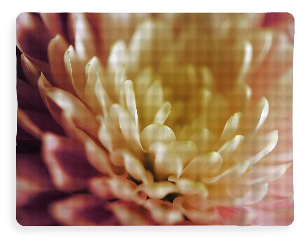 Pink and White Flower - Blanket