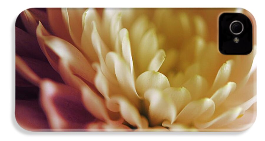 Pink and White Flower - Phone Case