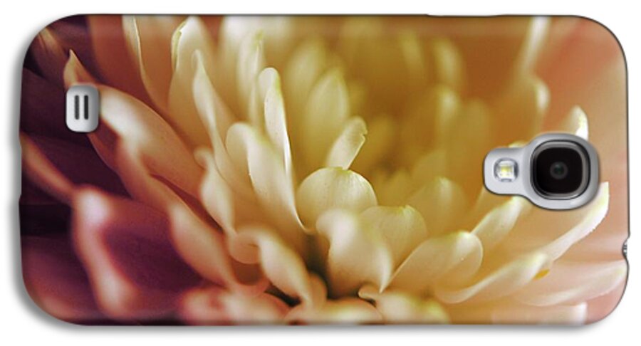 Pink and White Flower - Phone Case
