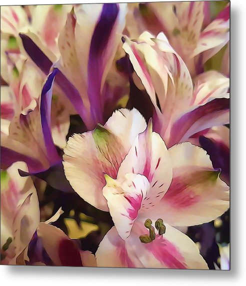 Pink and White Flowers - Metal Print