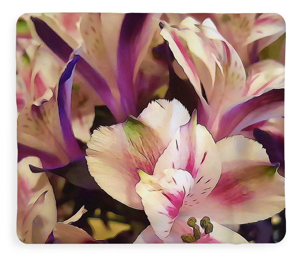 Pink and White Flowers - Blanket