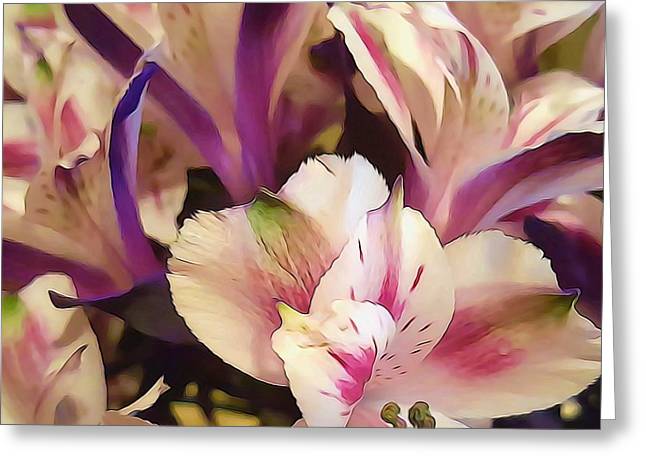 Pink and White Flowers - Greeting Card