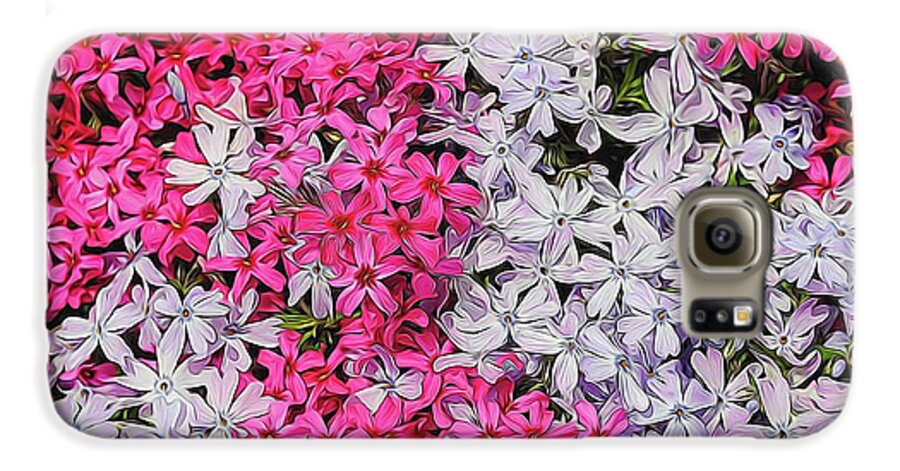 Pink and White Phlox - Phone Case