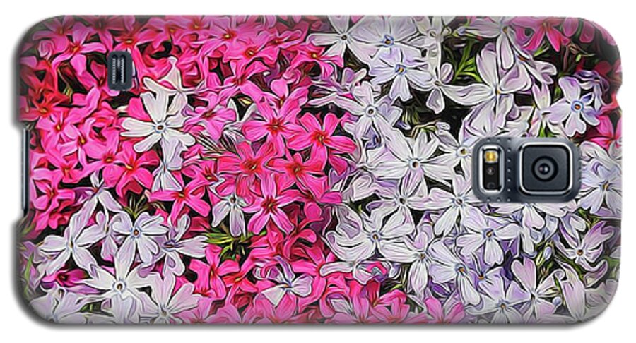 Pink and White Phlox - Phone Case