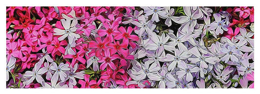 Pink and White Phlox - Yoga Mat