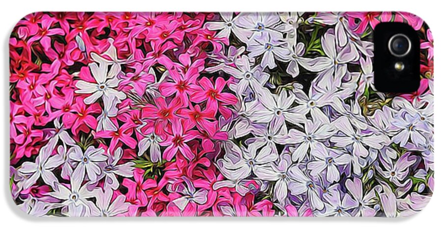 Pink and White Phlox - Phone Case