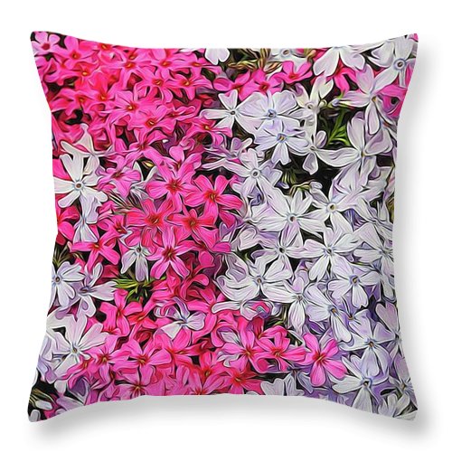 Pink and White Phlox - Throw Pillow