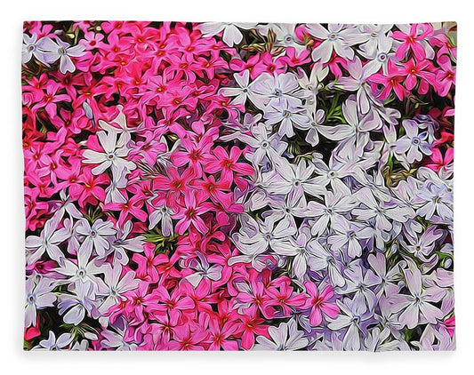 Pink and White Phlox - Blanket