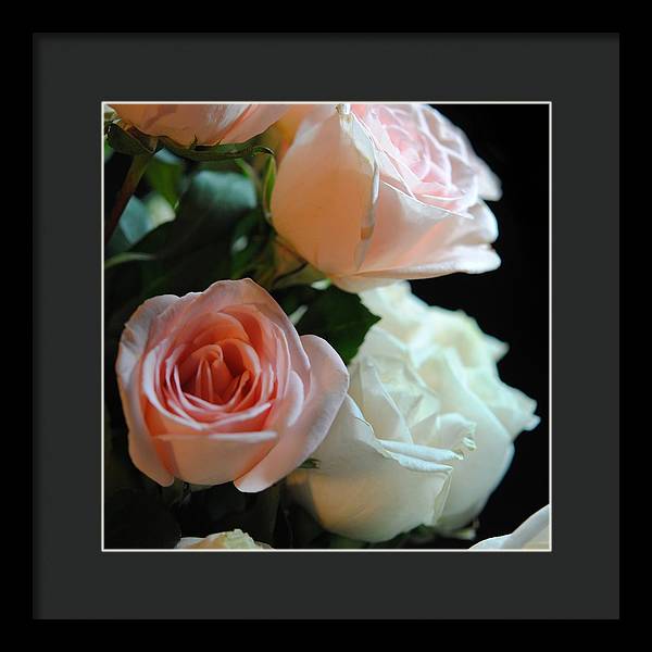 Pink and White Roses Bouquet - Framed Print