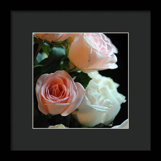 Pink and White Roses Bouquet - Framed Print