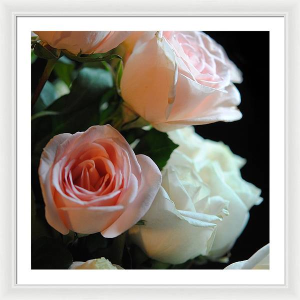 Pink and White Roses Bouquet - Framed Print