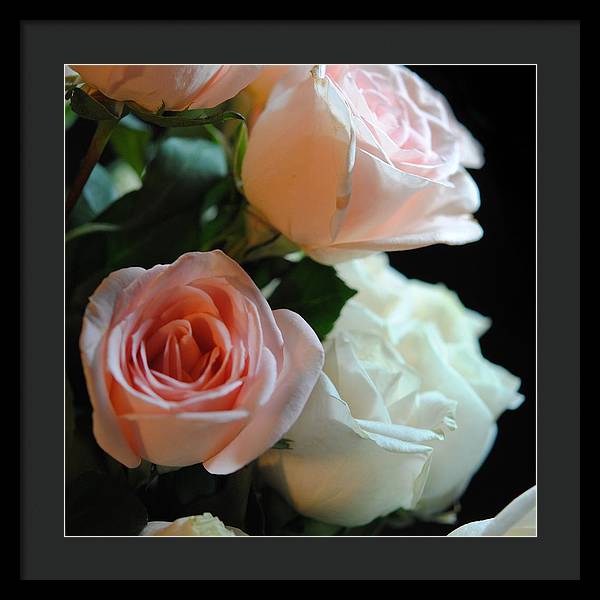 Pink and White Roses Bouquet - Framed Print