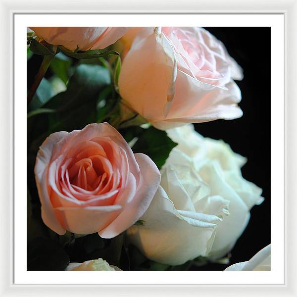 Pink and White Roses Bouquet - Framed Print