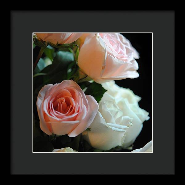 Pink and White Roses Bouquet - Framed Print