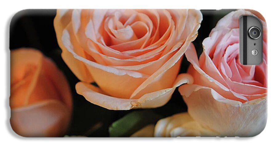 Pink and White Roses - Phone Case