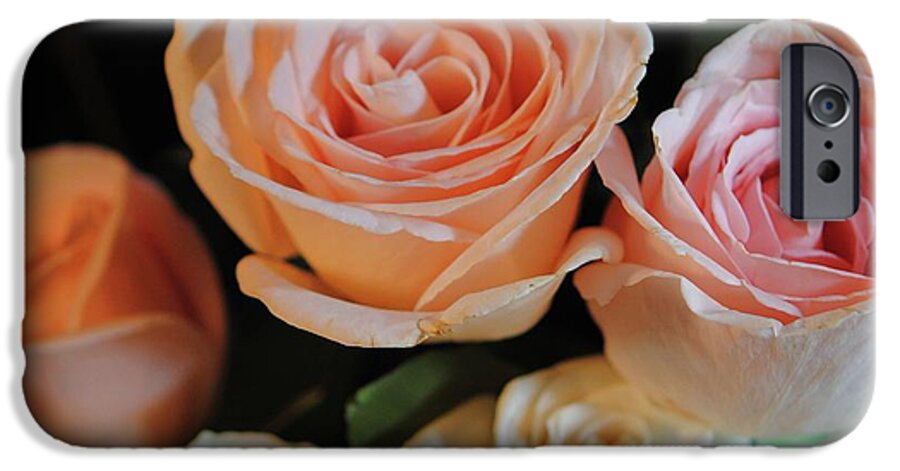Pink and White Roses - Phone Case