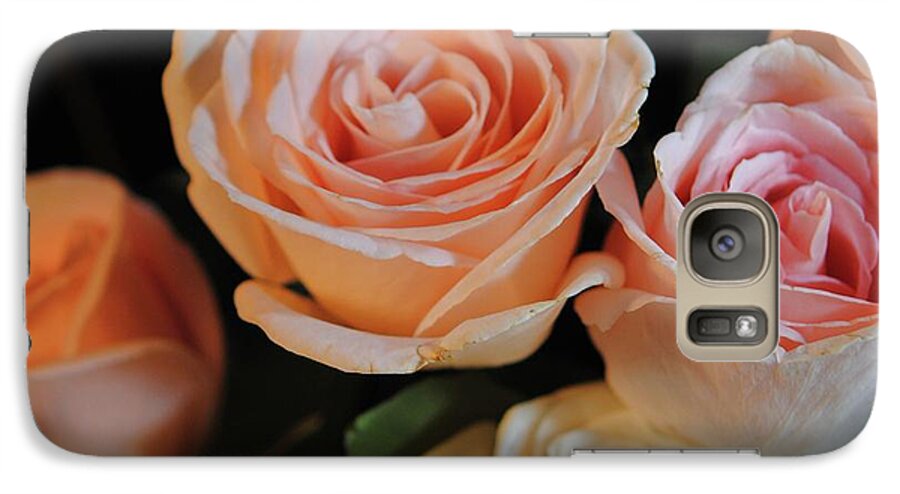 Pink and White Roses - Phone Case