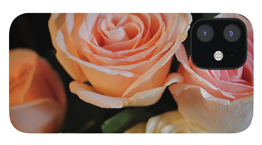 Pink and White Roses - Phone Case