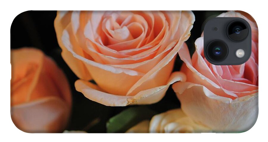 Pink and White Roses - Phone Case