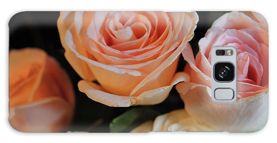 Pink and White Roses - Phone Case