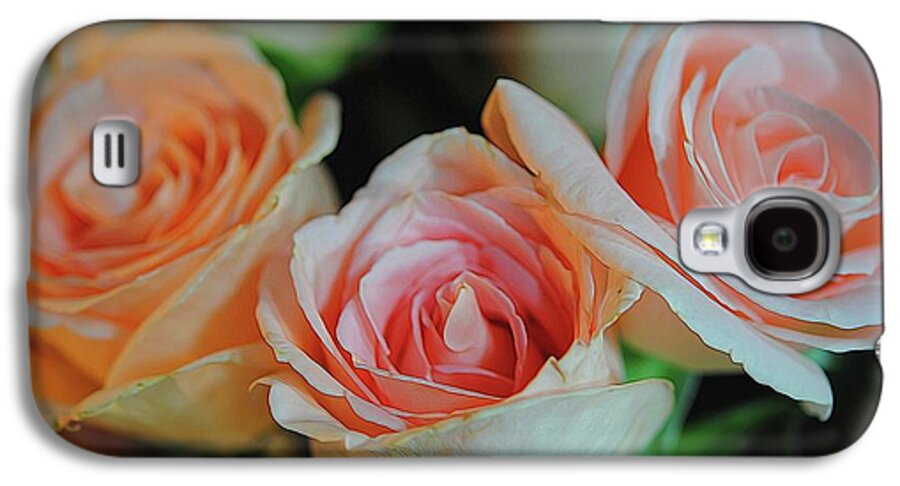 Pink and White Roses Collection 7 - Phone Case