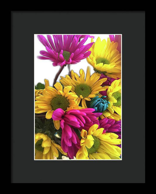 Pink and Yellow Daisies - Framed Print