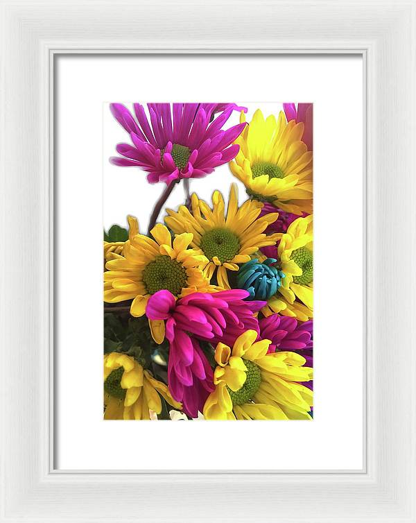 Pink and Yellow Daisies - Framed Print