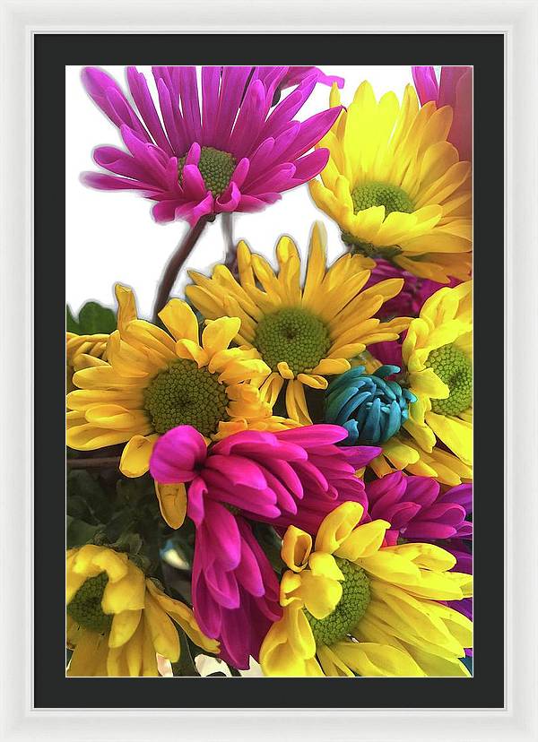 Pink and Yellow Daisies - Framed Print