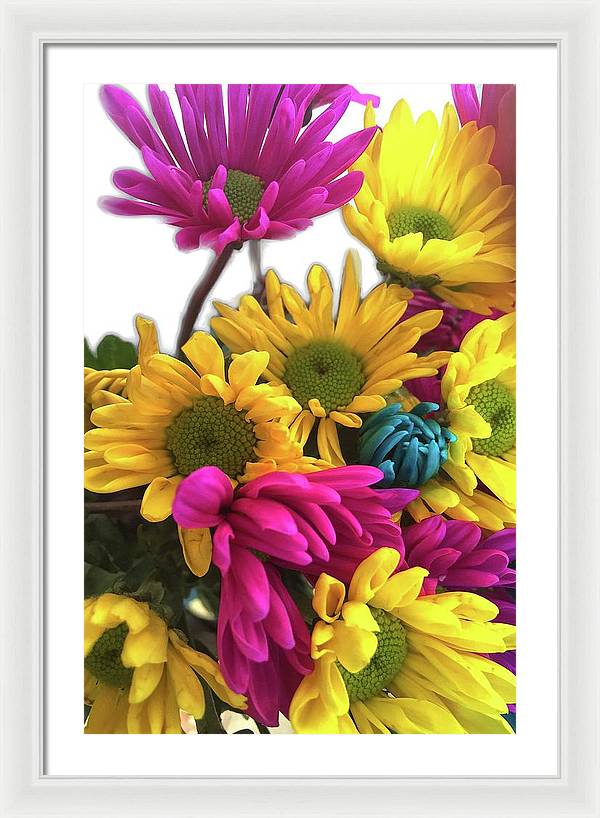 Pink and Yellow Daisies - Framed Print