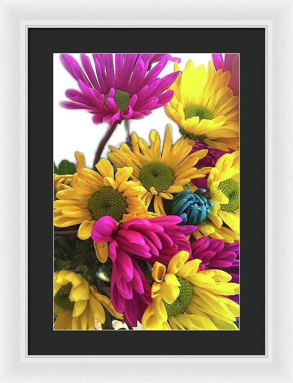 Pink and Yellow Daisies - Framed Print