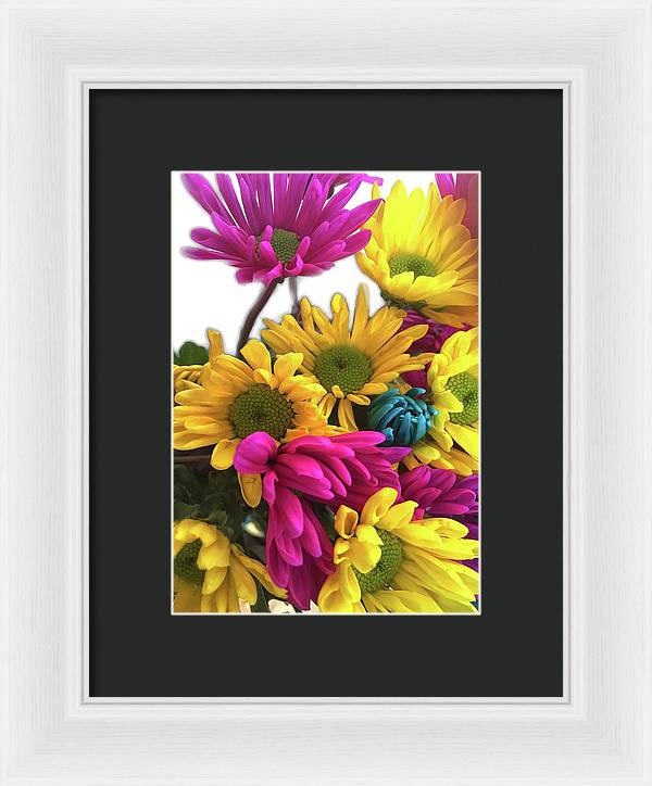 Pink and Yellow Daisies - Framed Print