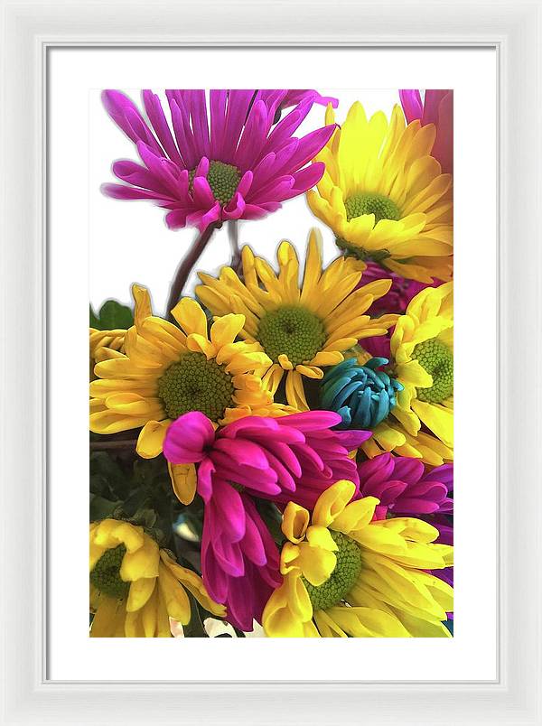 Pink and Yellow Daisies - Framed Print